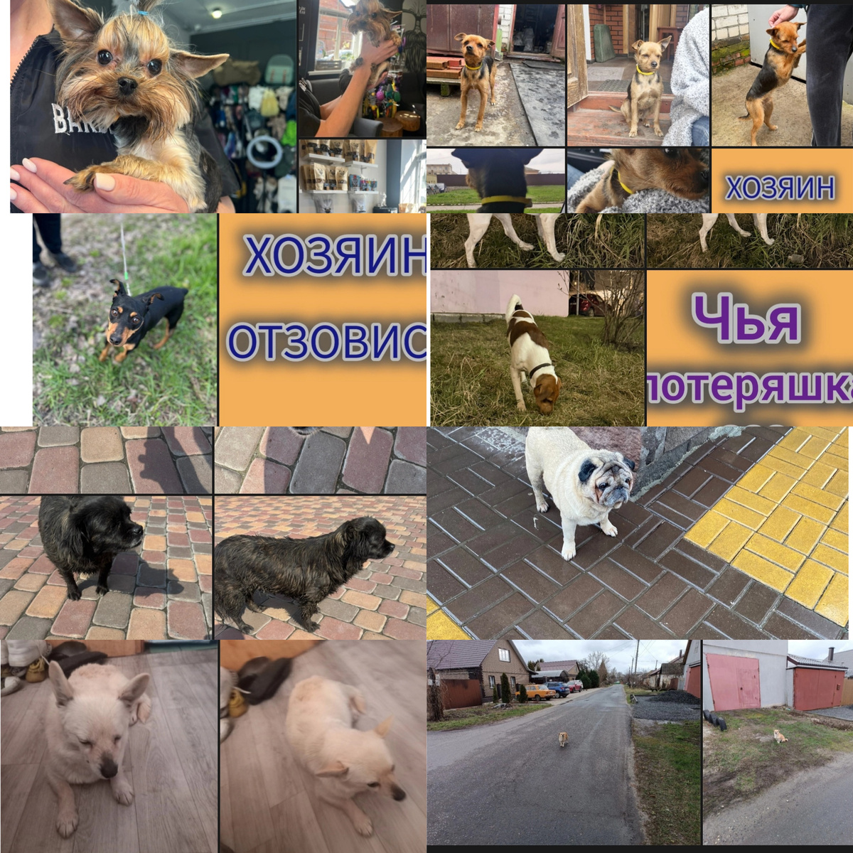 Из ленты групп потеряшек Курск
