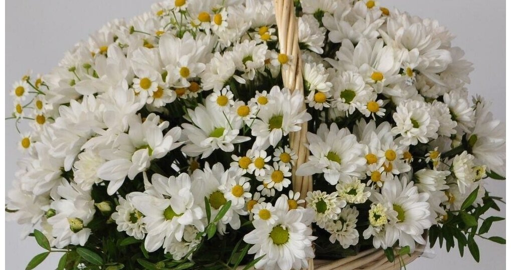 "ЛЕРОЧКА ЛЮТИК.глава 3"