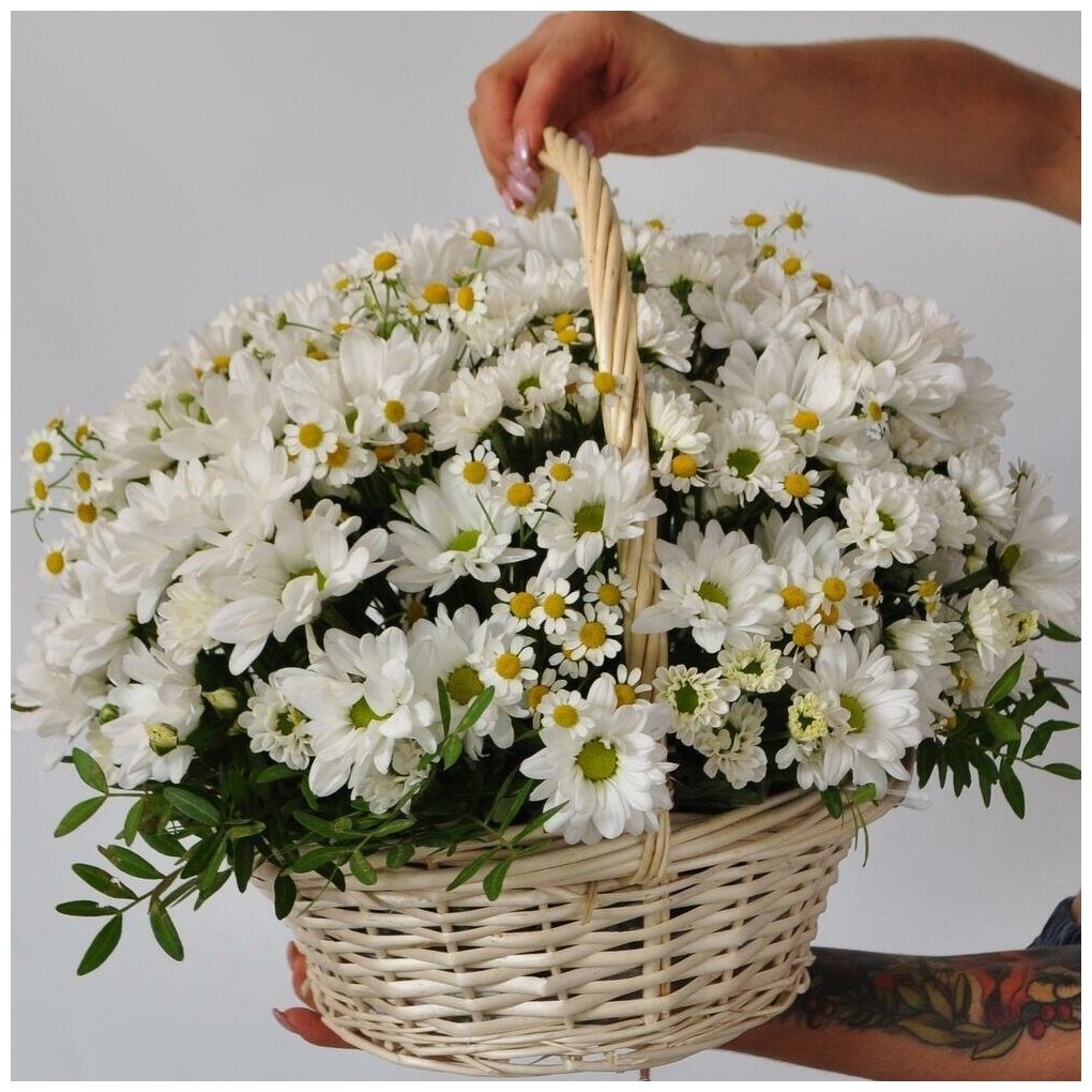 фото из открытого интернет источника