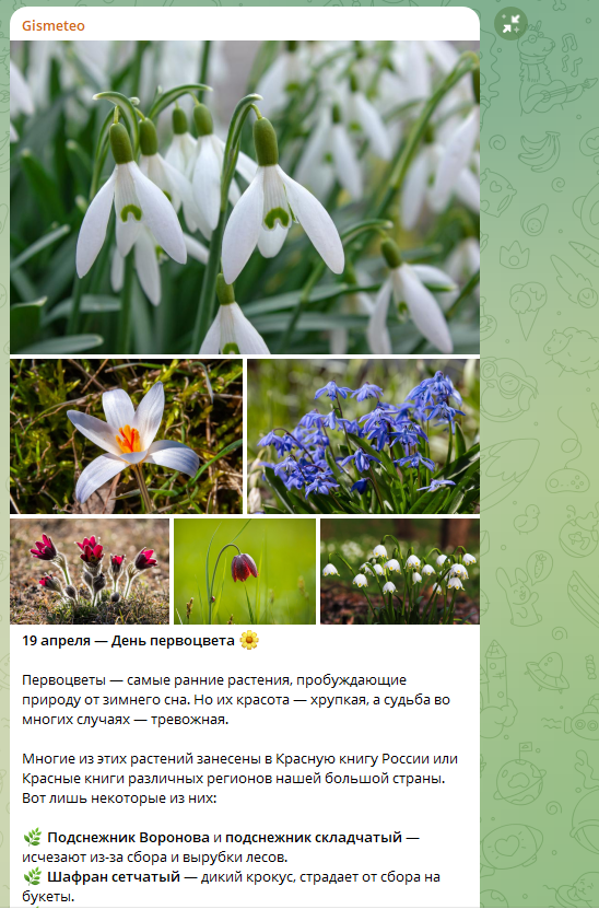    ФОТО: Скриншот https://t.me/gismeteo