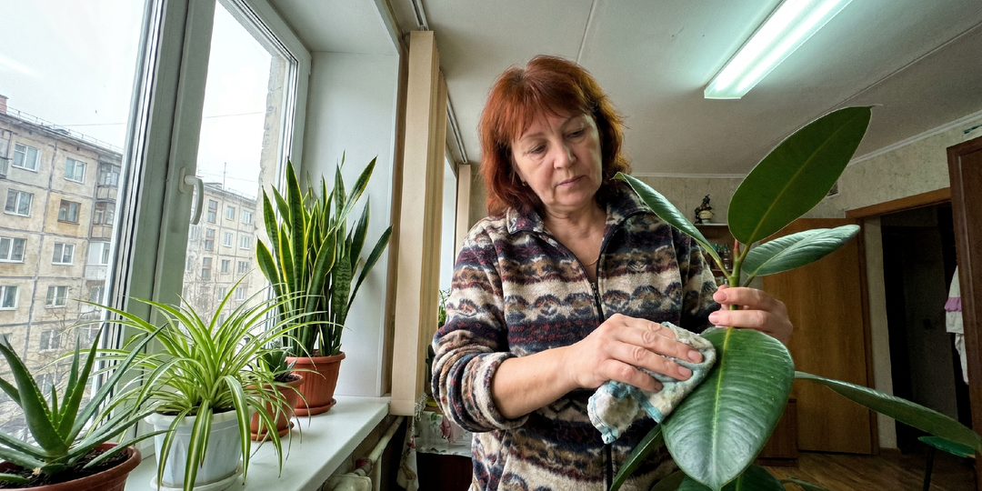 Чистый воздух в доме: 6 растений, которые укрепляют здоровье после 50 лет