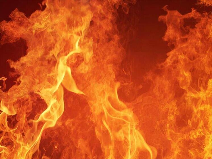     Фото: сгенерировано ИИ