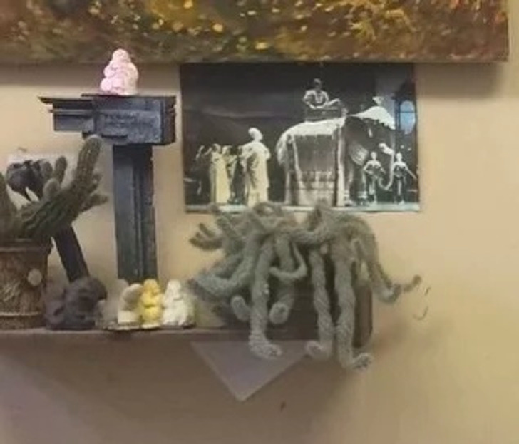 © Sally2904 / Pikabu