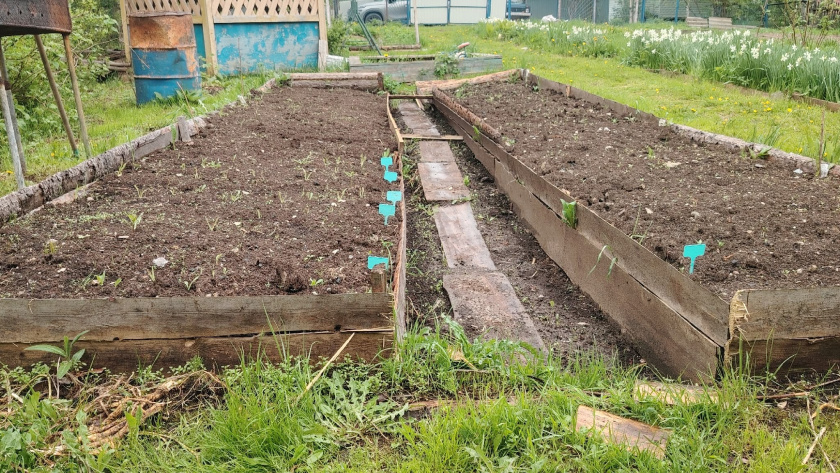    Фото progoroduhta.ru