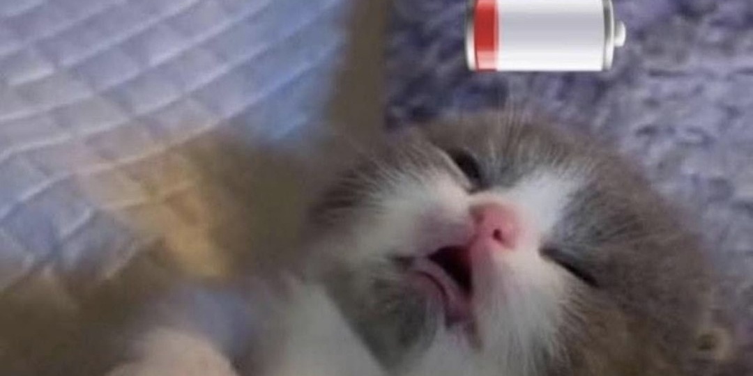 Офисы в России оценили на 4,9. Почему сотрудники их так ненавидят?