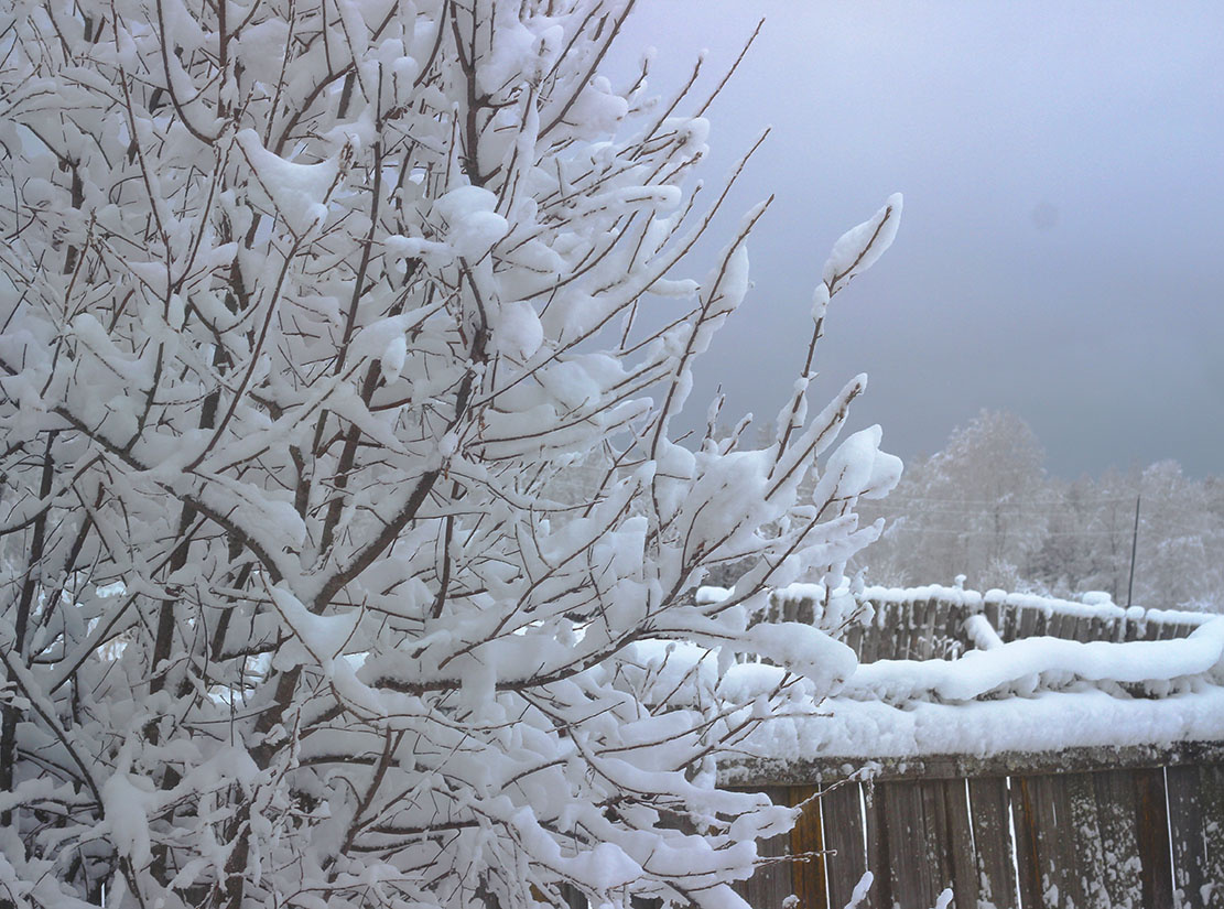 в семь утра смотрим в окно, а там ....