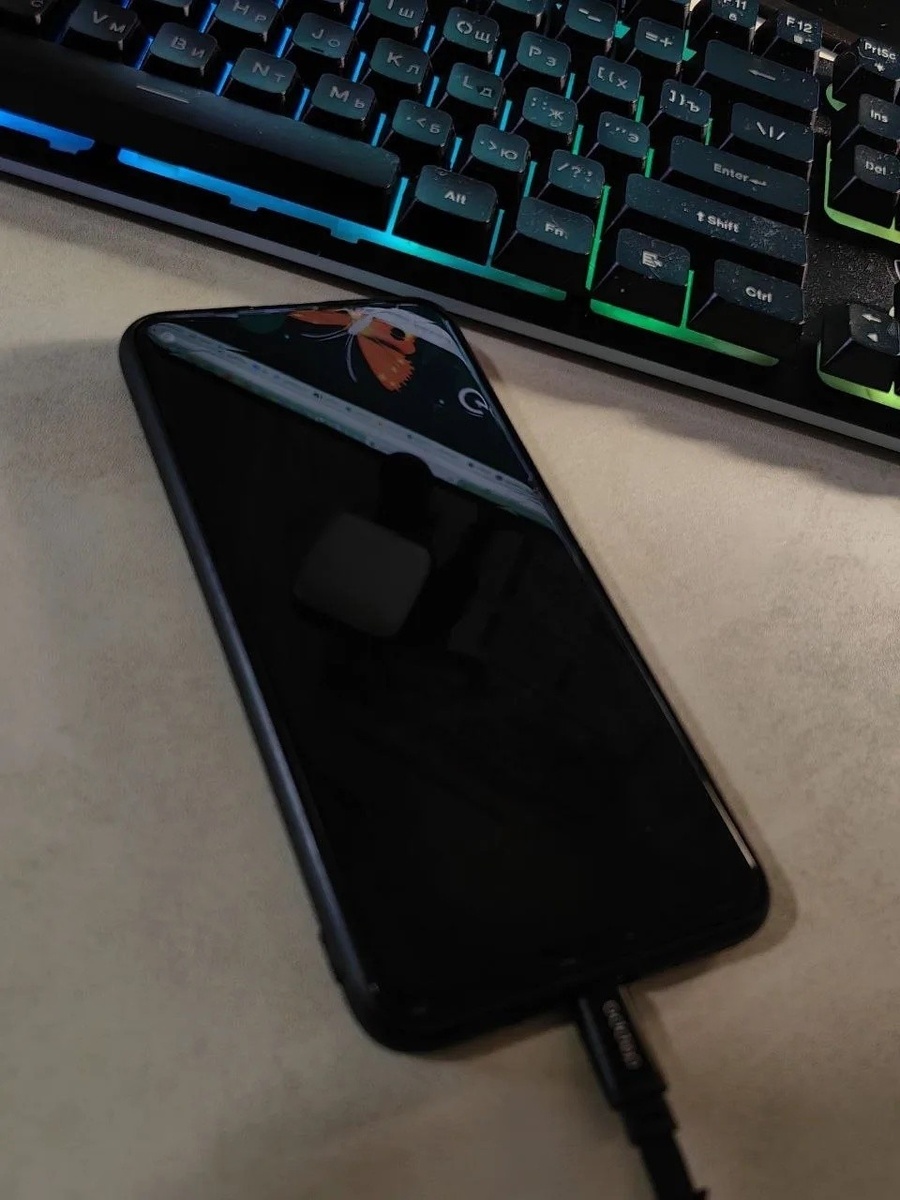    Фото: Ольга Григорьева