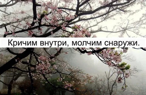 ПОЧЕМУ ВНУТРИ ВСЁ ПЛОХО, КОГДА СНАРУЖИ ВСЁ ХОРОШО?