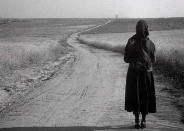 Изображение взято из открытых источников интернета. 