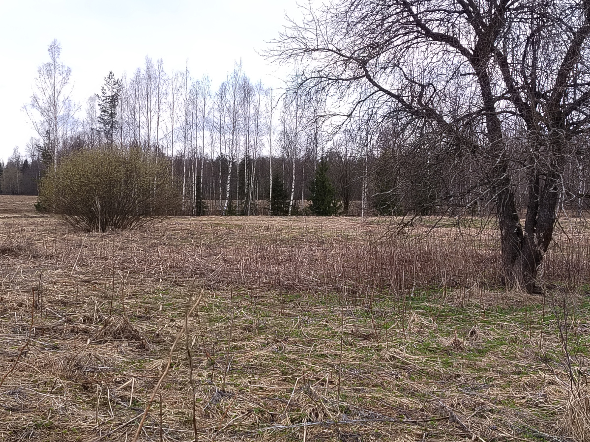 Вот такой вид открывается за нашим участком