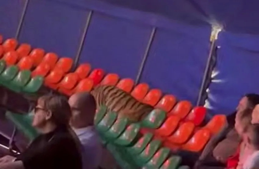    Фото: телеграм-канал Don Mash