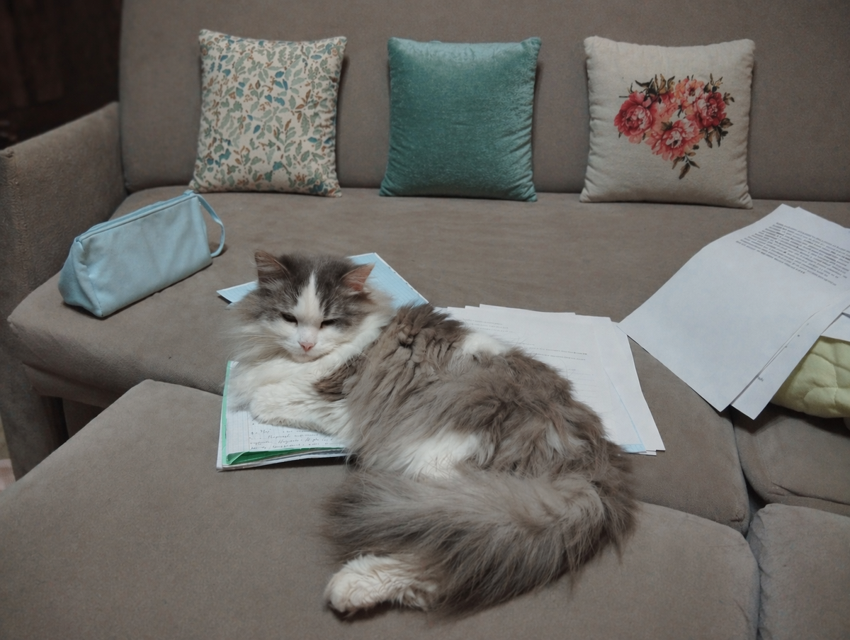 -2