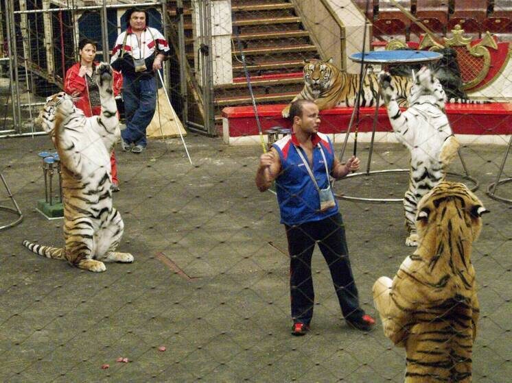   Сергей Иванов