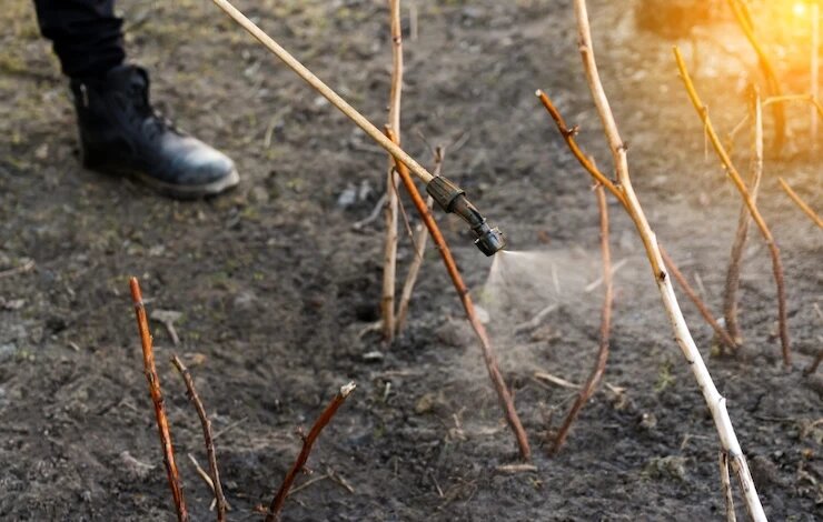 фото 123RF/tanitost