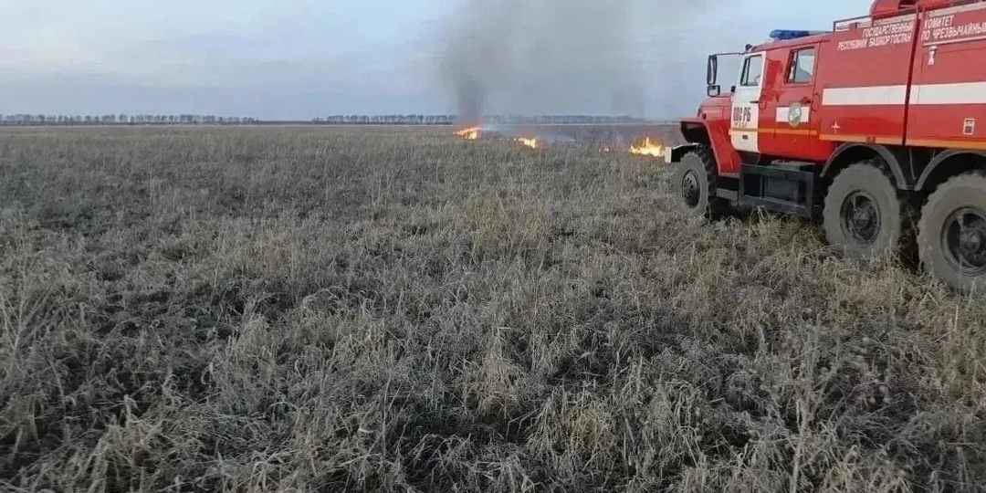 В Баймакском районе Башкирии потушили лесной пожар