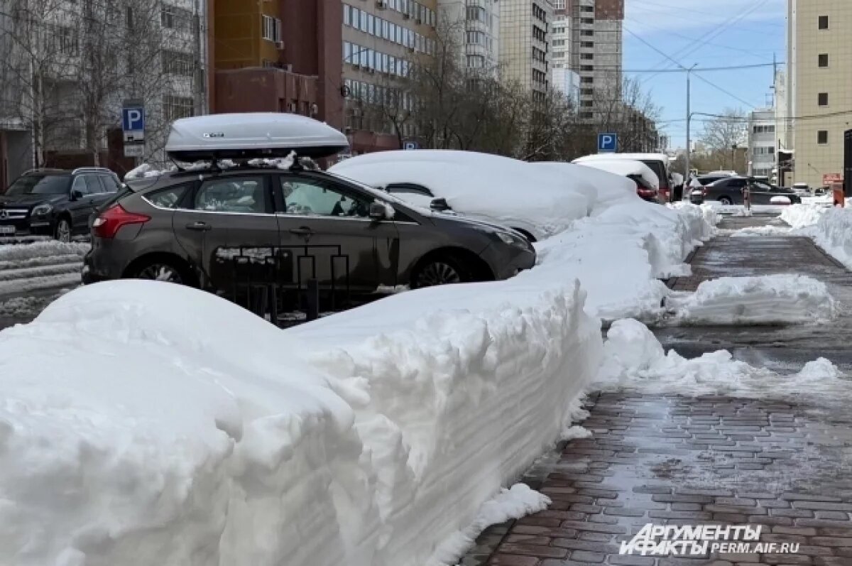    В Пермском крае ожидается холодная и снежная неделя