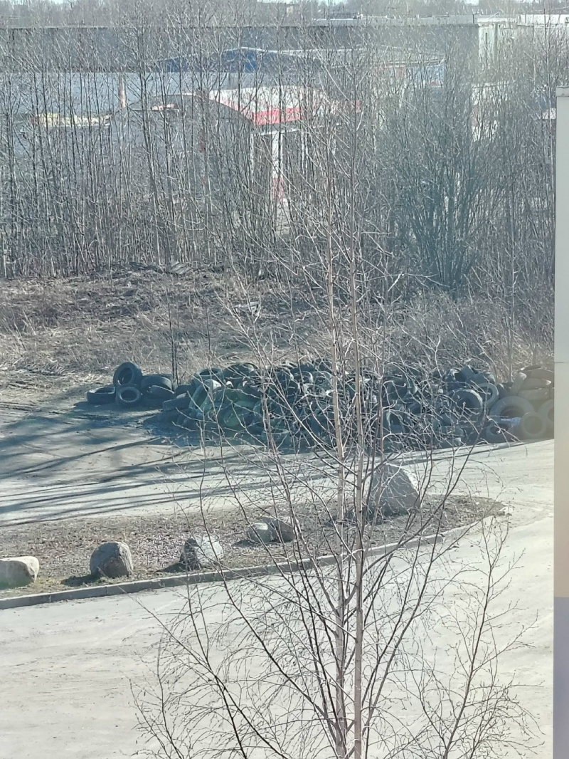   Свалка старых покрышек появилась на выезде из Петрозаводска – она растетЖелезнодорожный (Пятый посёлок) | Рыбка