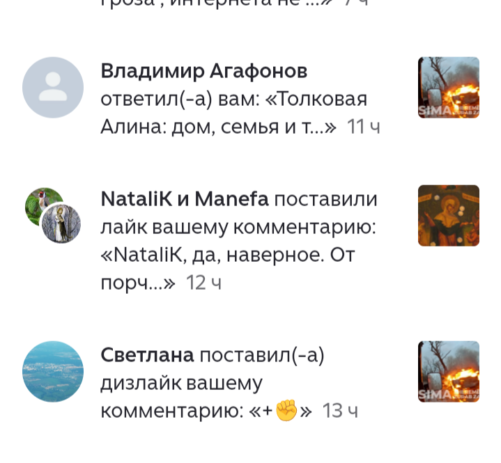Дизлайк некой Светланы по поводу моего пожертвования бойцам СВО