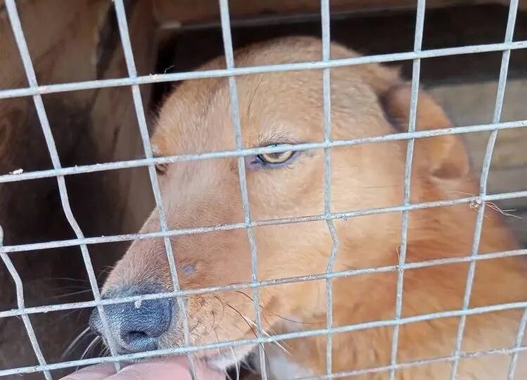 Заплатили за крупу, остался долг по зарплате, пожалуйста, помогите!