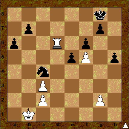 Эта же партия после 33 хода Черных