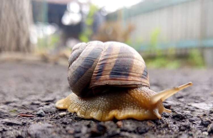 Апрель с характером: Каменский район ждет ветреный и прохладный понедельник