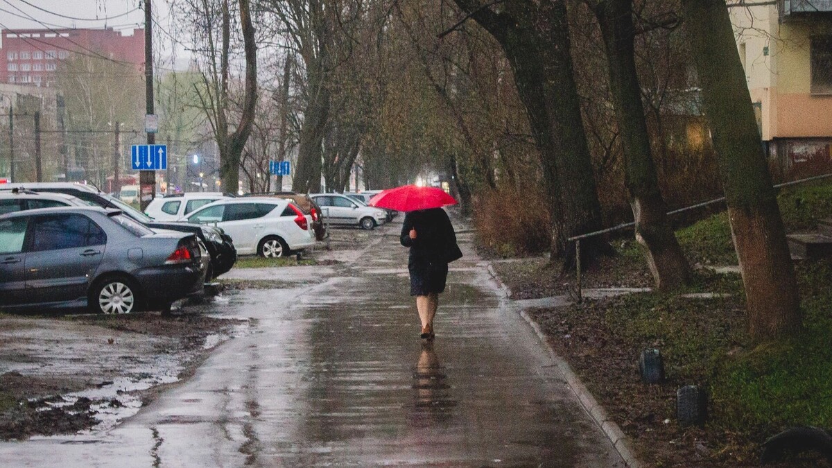    Разгон до 19 градусов. Какие качели устроит погода для ростовчан на неделе?   1MI