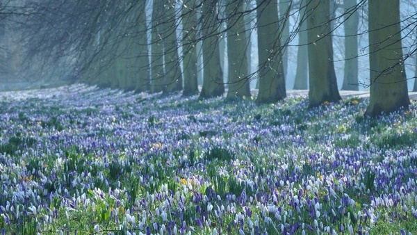Были бы прогнозы, а погода будет. Представляем прогноз на 20 апреля в Липецке