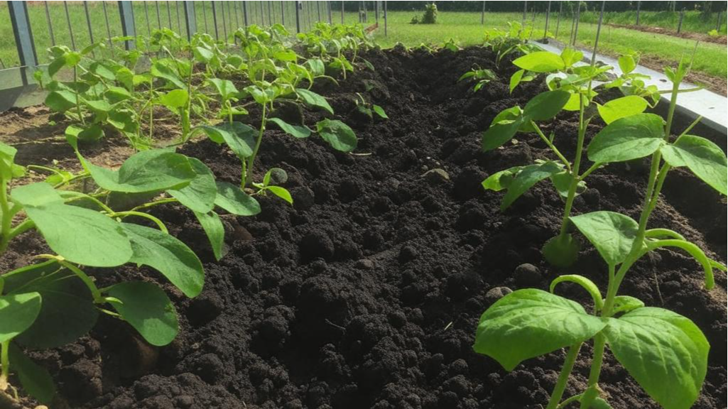 Изображение взято с сайта https://img.ixbt.site/live/images/original/08/11/28/2024/04/28/59aeecb86c.png