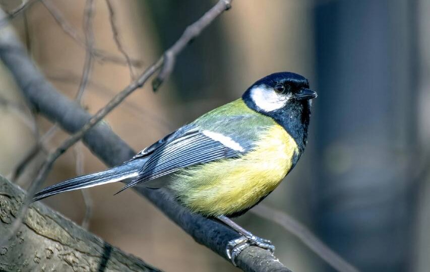 💛 Весна в деталях