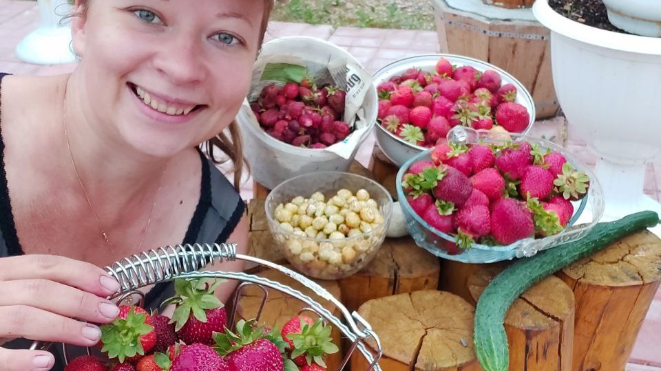 Клубника весной: 5 важных шагов для богатого урожая. Чем подкормить и опрыскать клубнику весной и почему не нужно спешить с мульчированием
