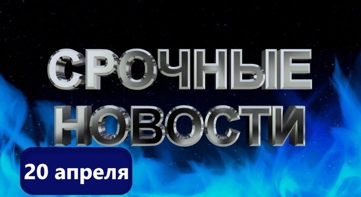 Срочные новости: Cofix на продажу, Яндекс создает оператора связи, апельсины подешевели