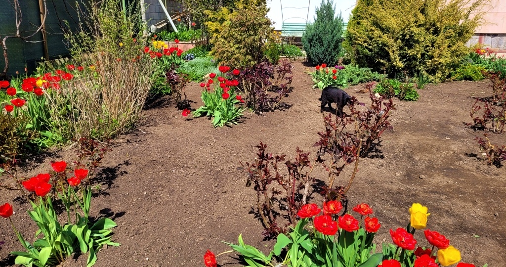 Выдохнула с облегчением