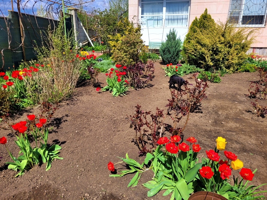 Теперь клумба  в порядке