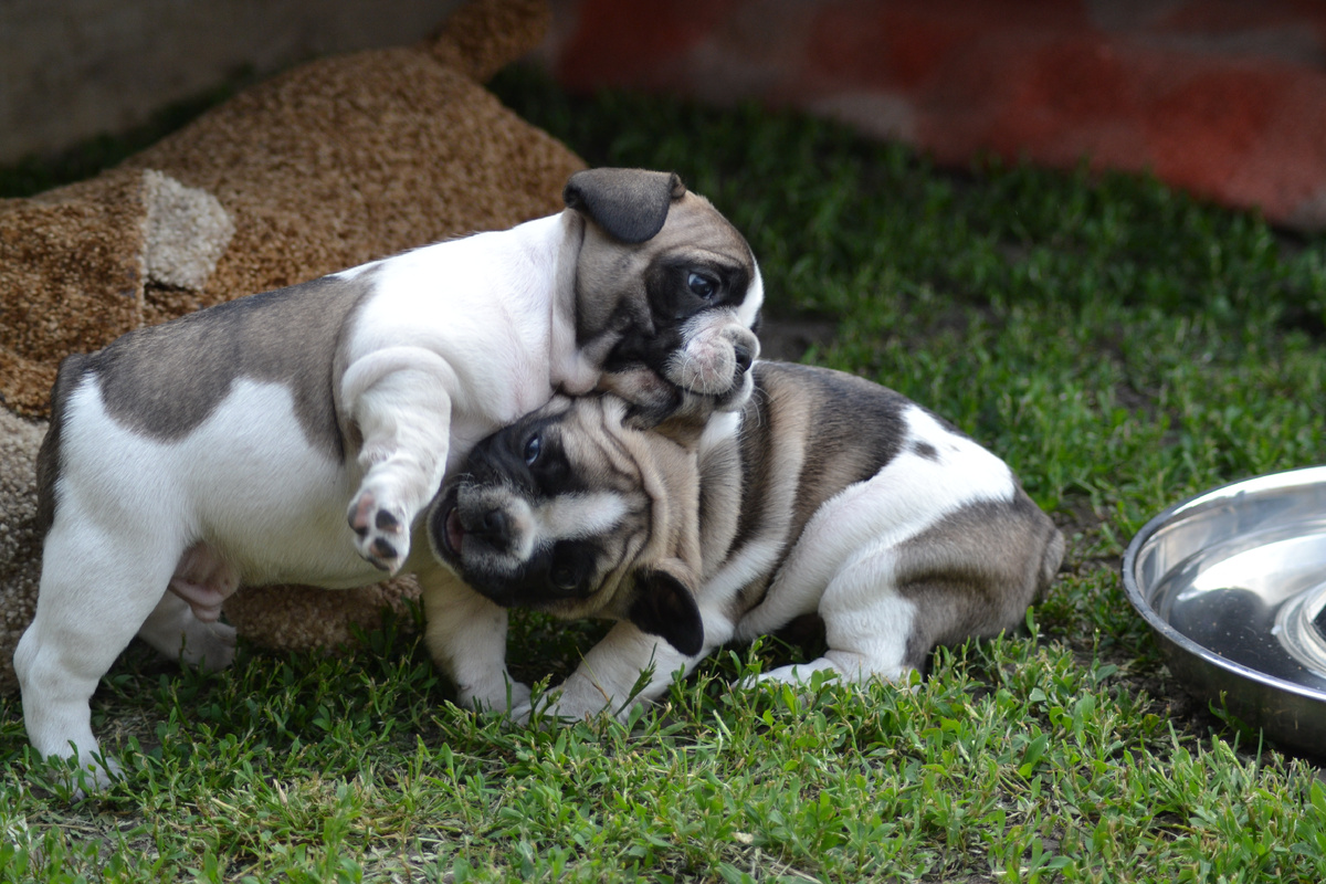 из архива автора