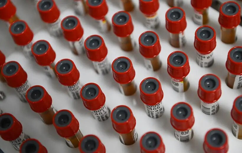     © РИА Новости. Кирилл Каллиников