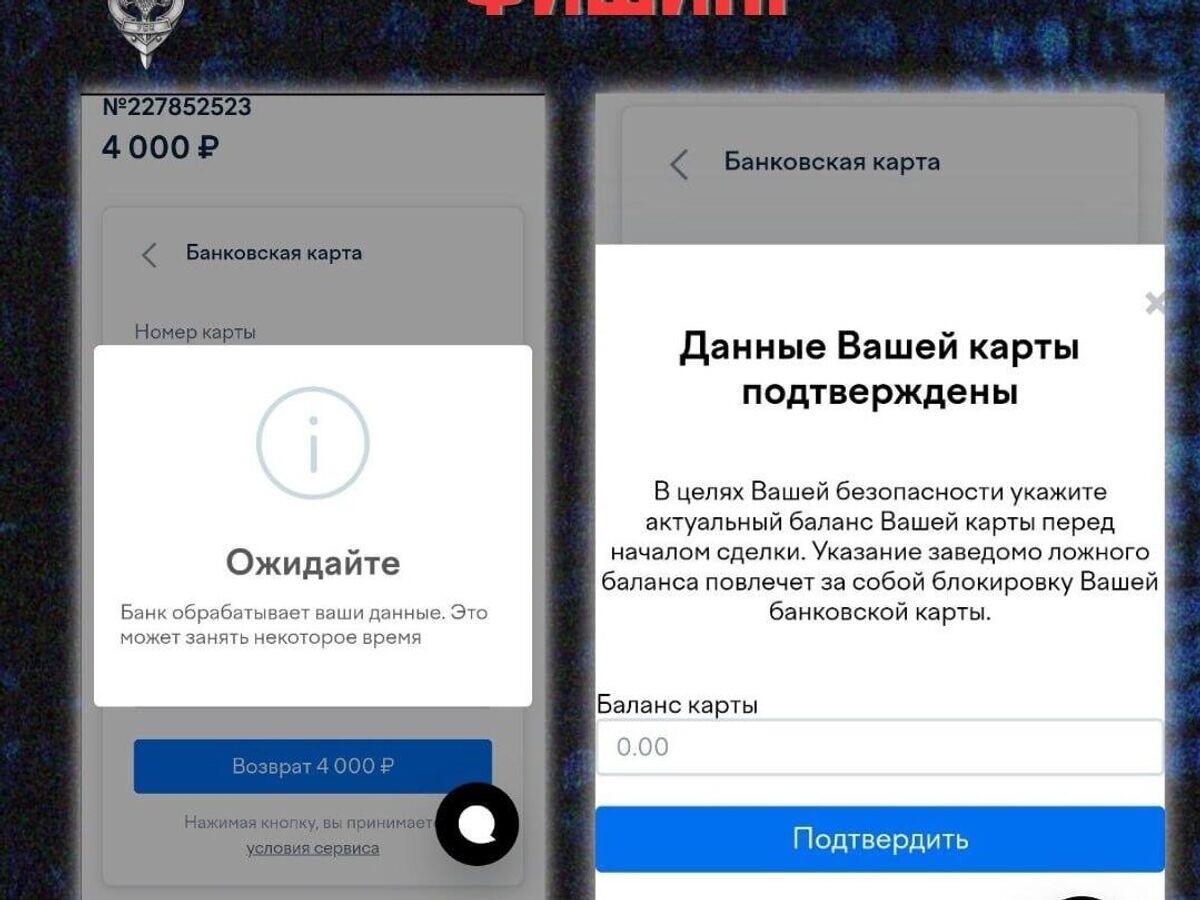    Фишинговая форма, которую используют мошенники | © Вестник Киберполиции России/Telegram