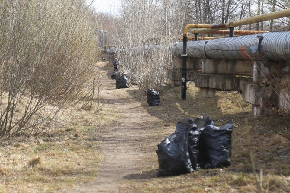    Фото: пресс-служба администрации Ижевска