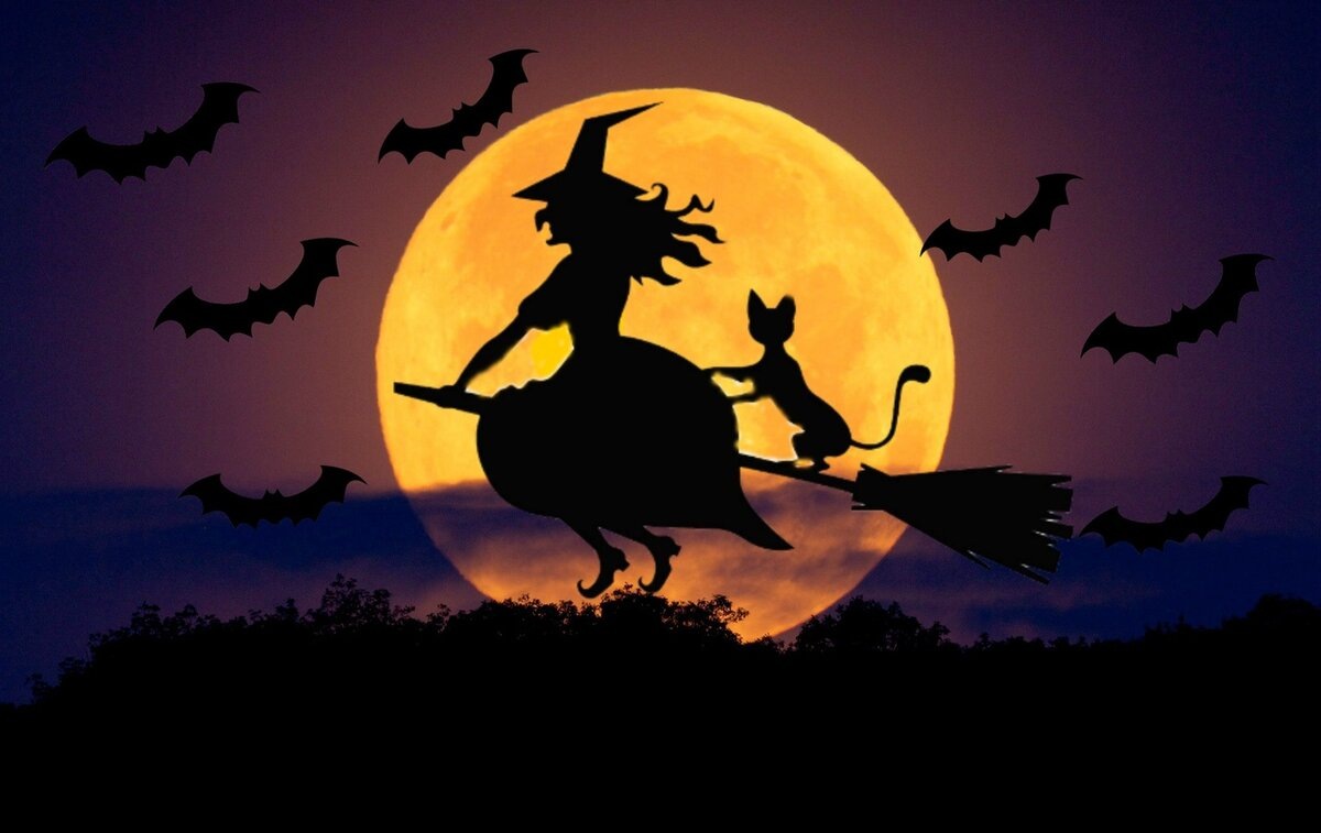 фото: яндекс картинки