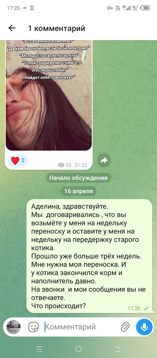 Скриншот с телеграм канала, хозяйки черного котика. Мое сообщение провисело секунд тридцать. ☹️