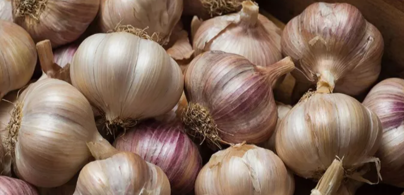 Весенняя подкормка чеснока: Как сделать правильно и не навредить