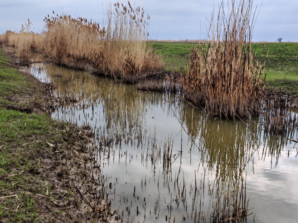 Оросительный канал 