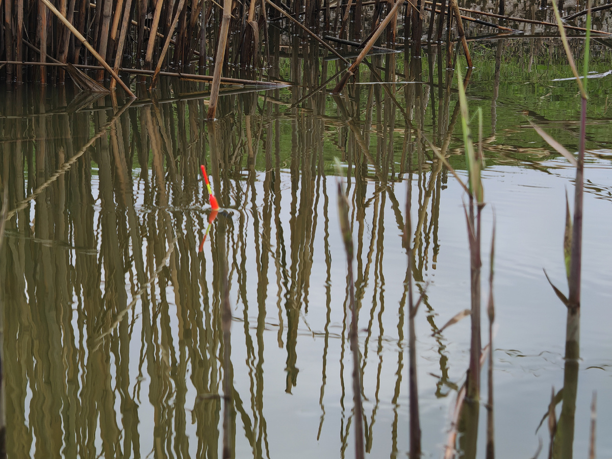 Ожидание поклевки