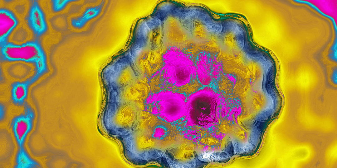 Первый полный геном загружен в квантовый компьютер