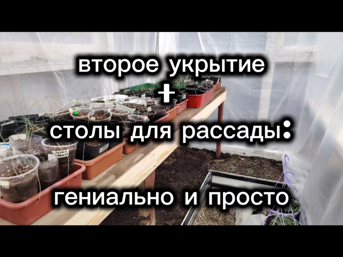Мечты сбываются...