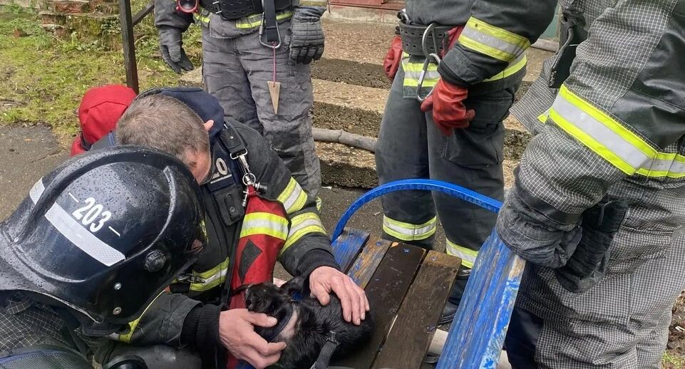    ГКУ МО «Мособлпожспас»