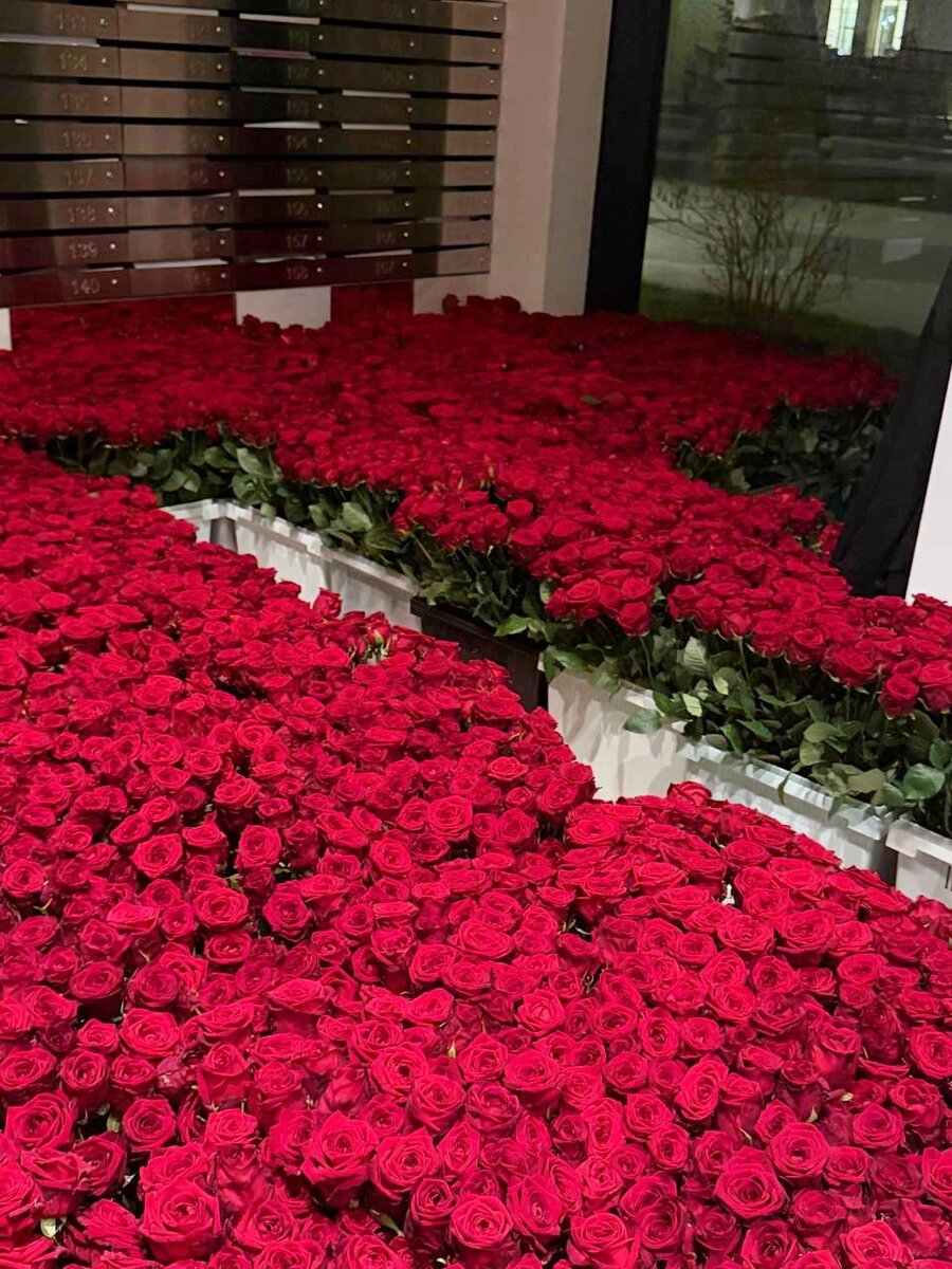    розы в московском ЖК Фото: Скриншот