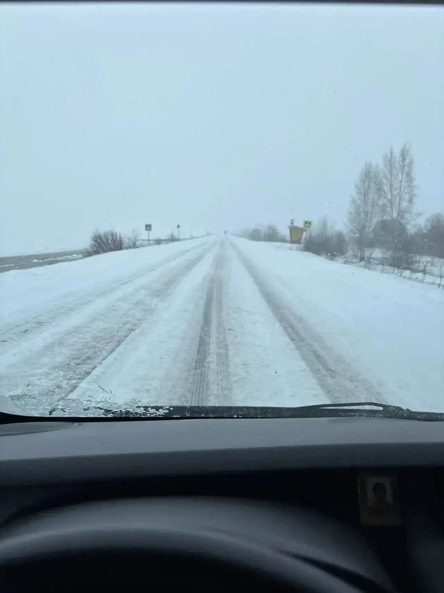 20 апреля. Выпал снег.