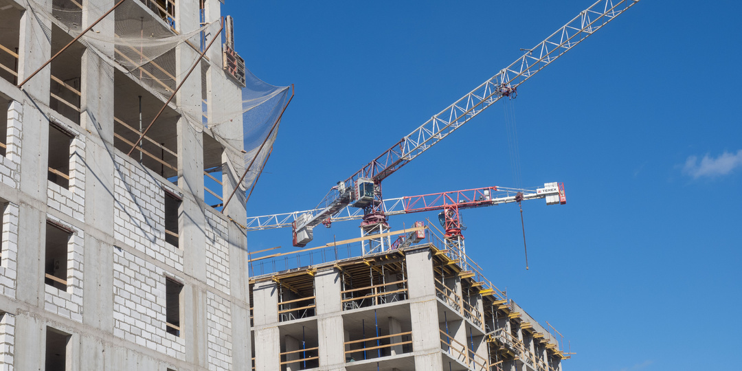 GloraX возглавил сооснователь компании Александр Андрианов