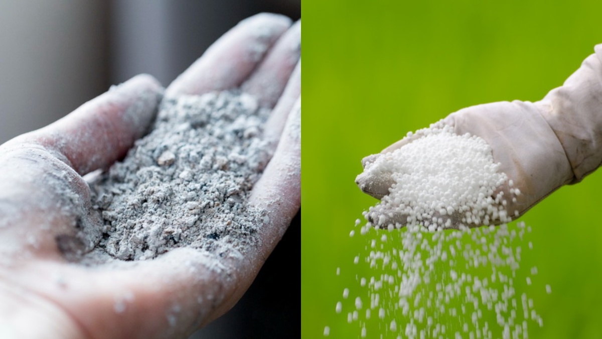 Оба удобрения хороши по отдельности. Вместе в одной лунке фосфор блокируется и до корней не доходит.