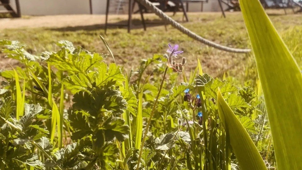 👋 Последние свободные домики на этой неделе